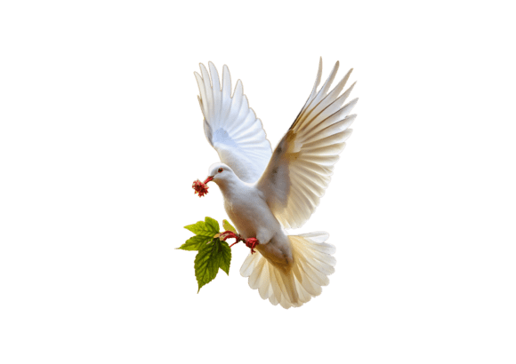 Elevating Creative Workflows with White Pigeon is Flying 3d Rendering PNG Assets