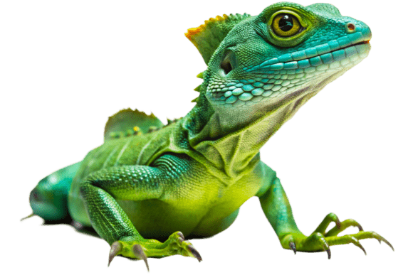 High-Quality Basilisk Chameleon 3D Rendering PNG for Design Projects