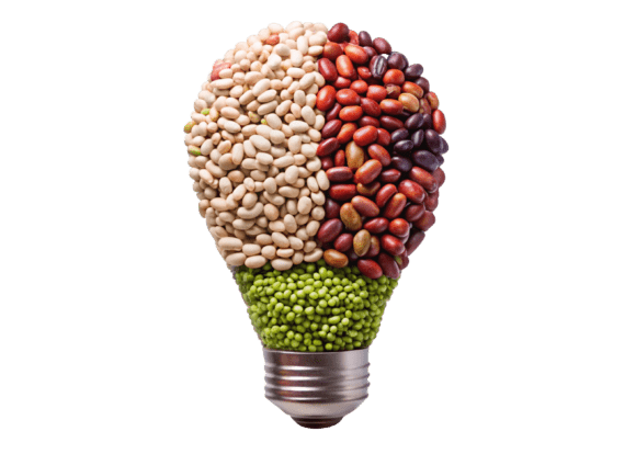 Lightbulb with Dried Beans 3D Icon File – Creative Workflow Integration